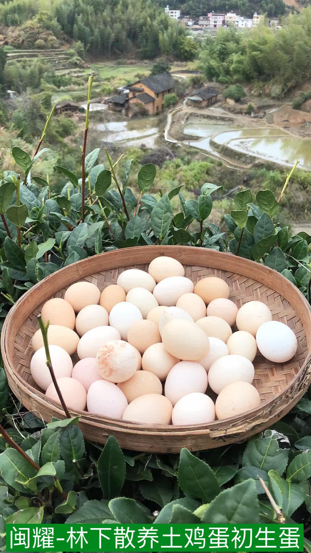 鸡蛋农村家林下散养正宗新鲜初生生蛋五谷蛋草鸡蛋