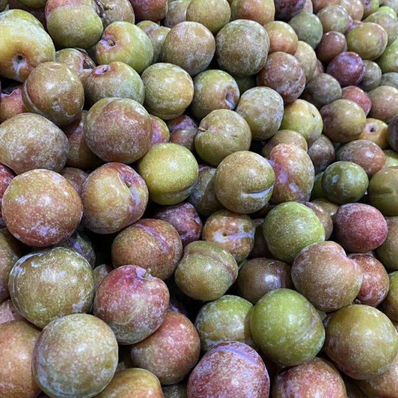 当天当季现摘前排钱排信宜银妃水果新鲜发货李子