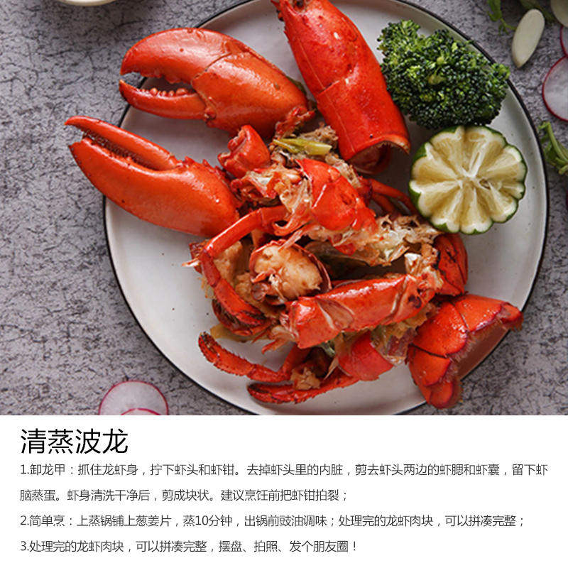 龙虾波士顿大龙鲜活特大波龙奥龙波斯顿海鲜水产活虾