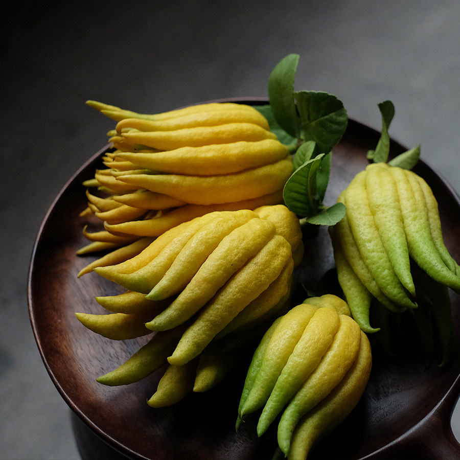 佛手清供金华带枝鲜果柑水观赏闻香佛手果