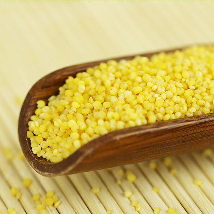 五谷杂粮包装450g小黄自产农家糯米真空黄小米黄糯米小米