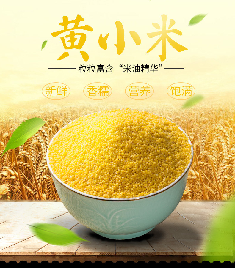 五谷杂粮包装450g小黄自产农家糯米真空黄小米黄糯米小米