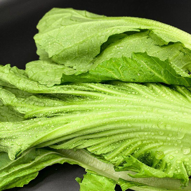 精选云南高山新鲜芥菜顺丰大叶青菜5斤苦菜其它