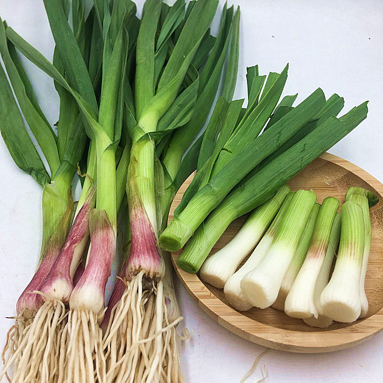 蒜苗2021年新鲜露天现挖青蒜3斤亏本尝鲜其它