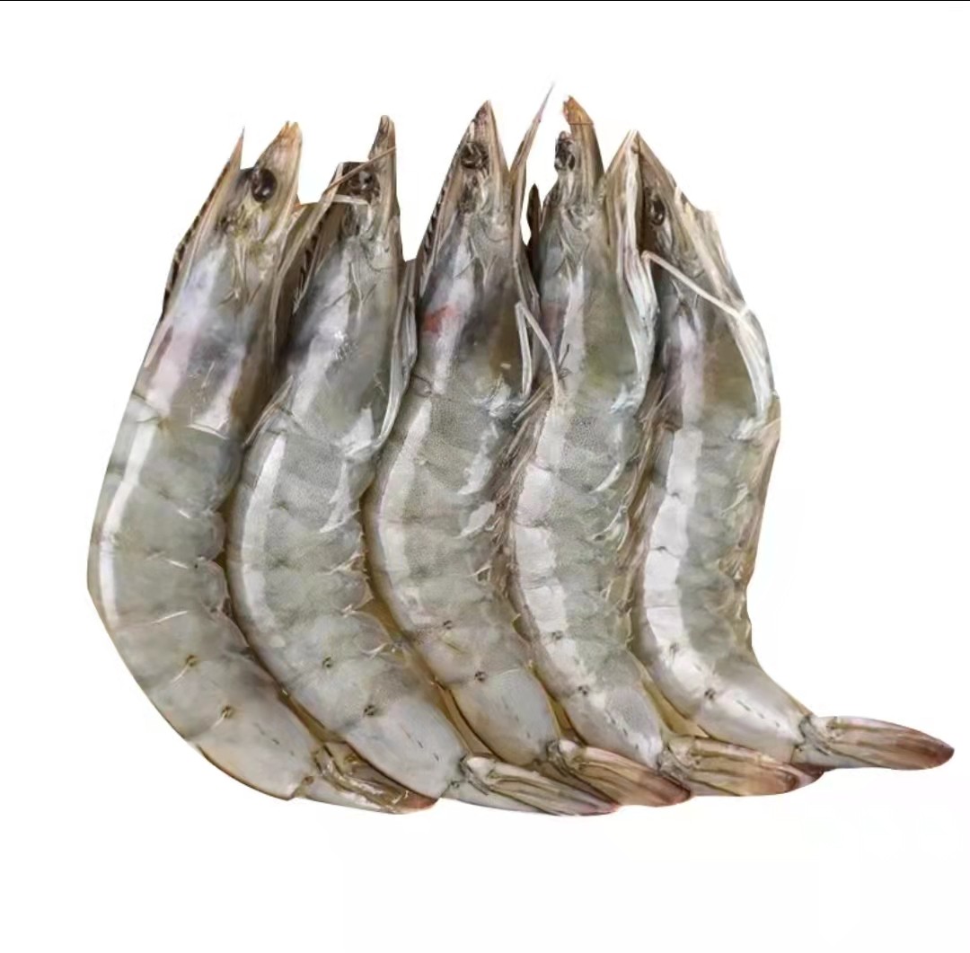 50-60国产海洋水产新鲜冷冻速冻大虾对虾净重冻虾