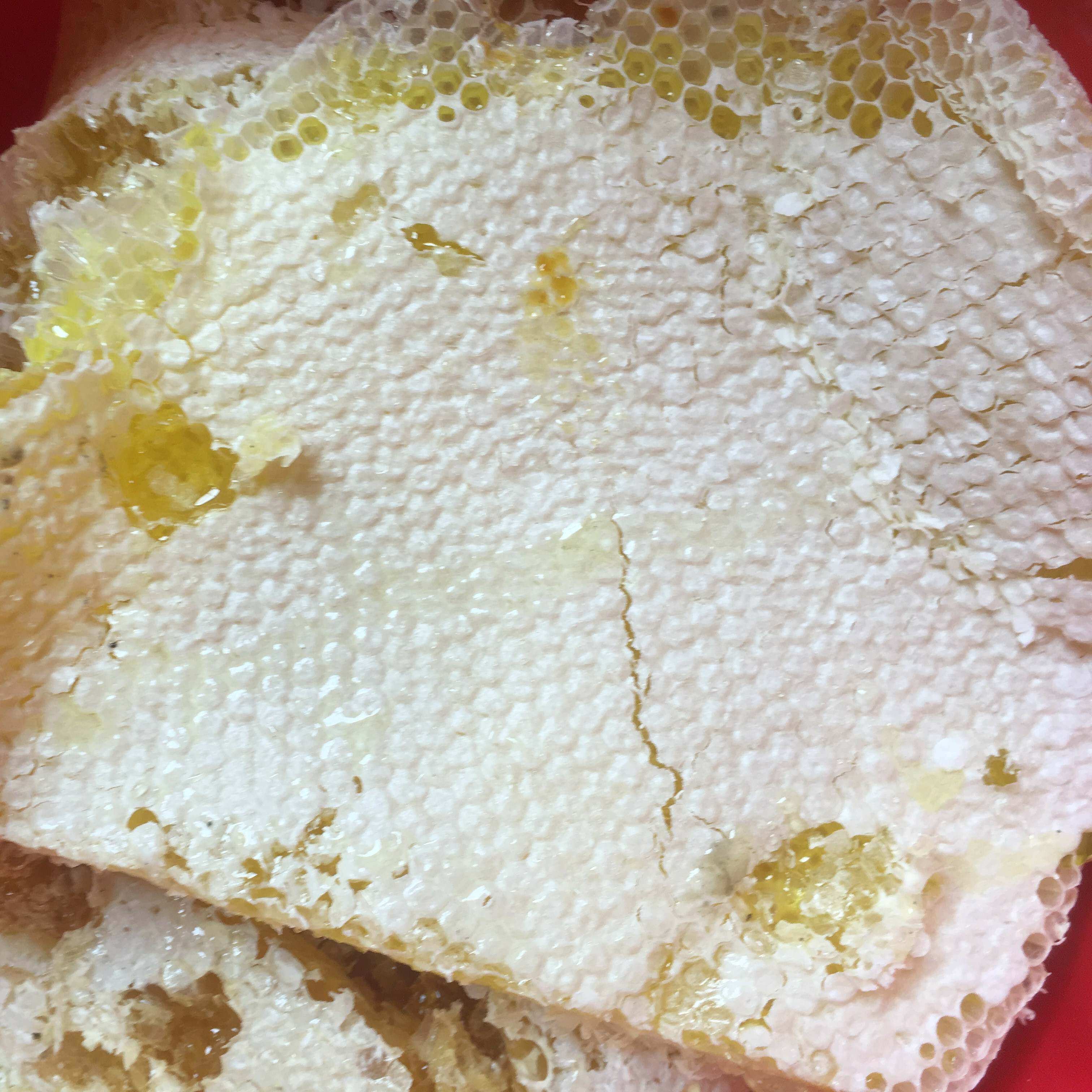 贵州大山农家中华土蜂巢蜜纯蜂蜜土蜂糖自产自销百花原蜜500g包邮