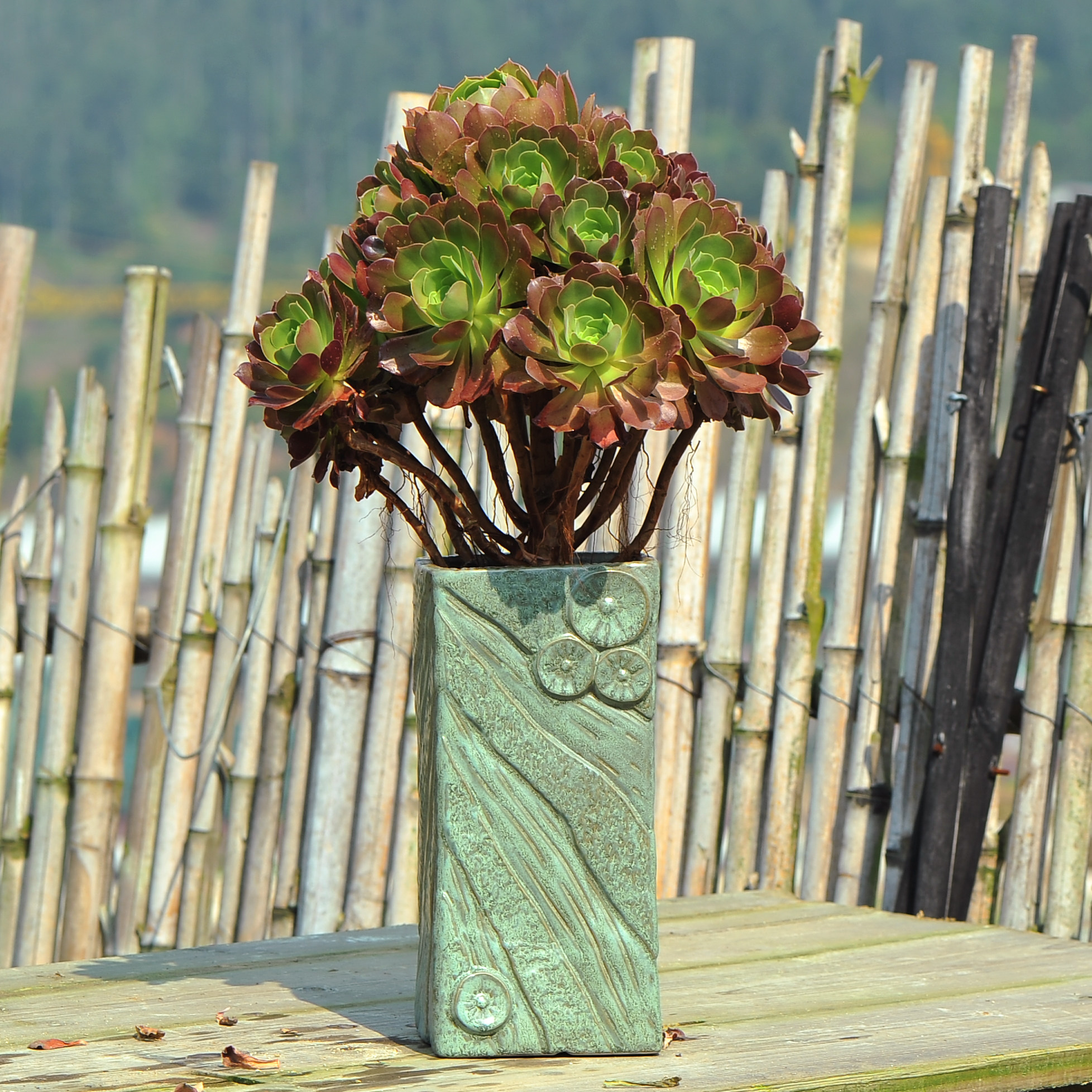 花盆特大号老桩陶瓷多肉粗陶创意法师陶罐兰花花盆