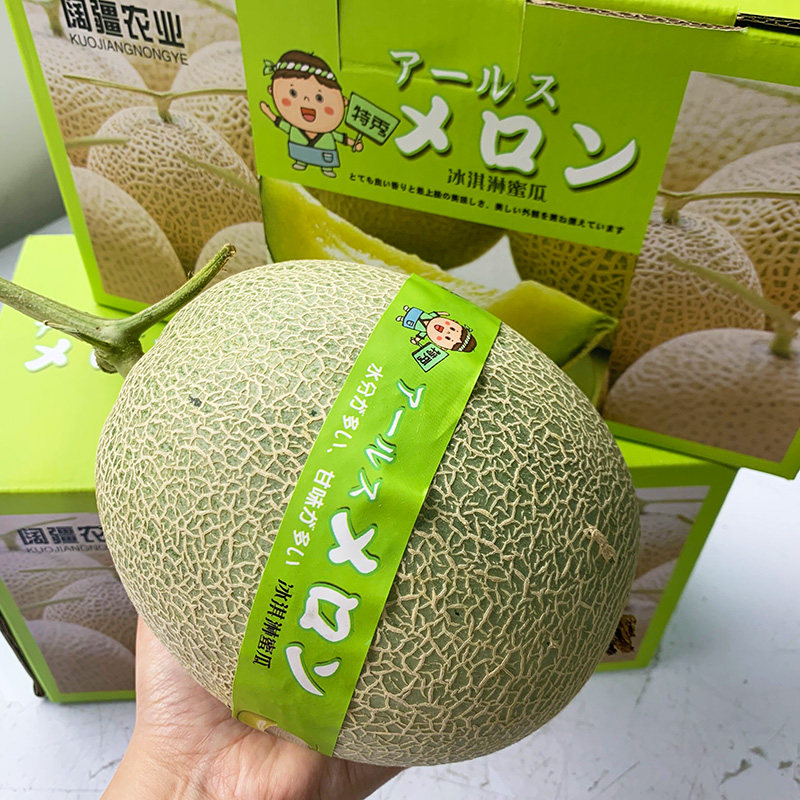 静冈玫珑日本夕张引种新鲜稀有热带水果网纹蜜瓜哈密瓜