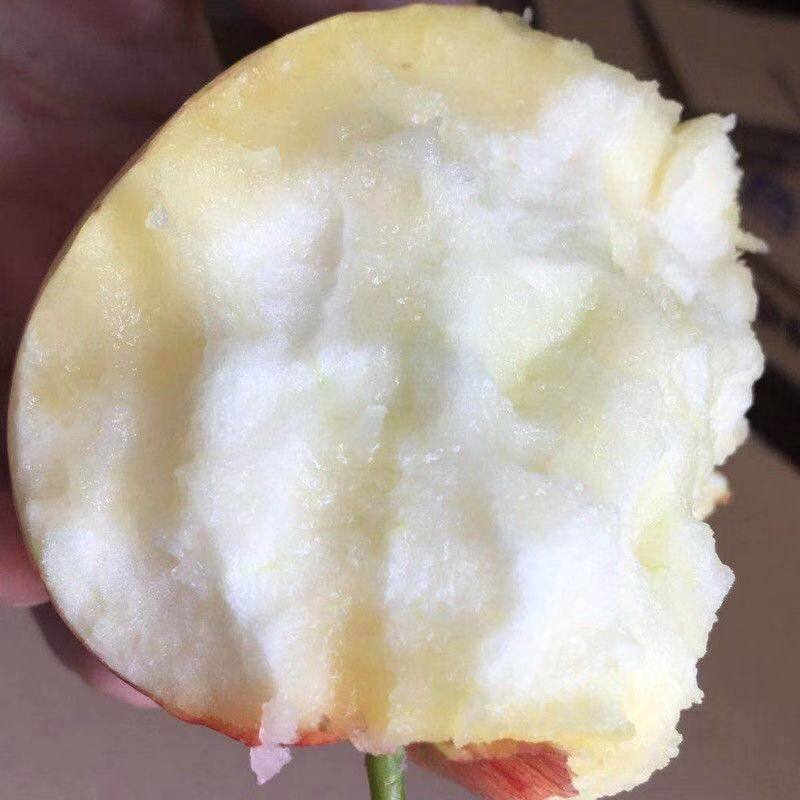 2021粉面沙甜苹果水果新鲜老人孕妇婴儿宝宝苹果