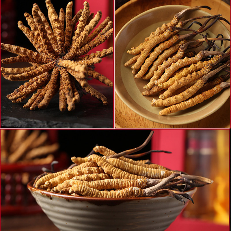 钟氏赠礼40根旗舰店正品干货干草草头虫草夏草头冬虫夏草