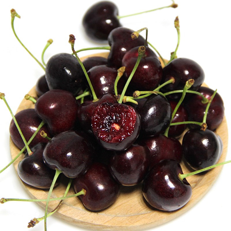 樱桃树苗黑珍珠樱桃树南北方种植盆栽地栽美国车厘子果树