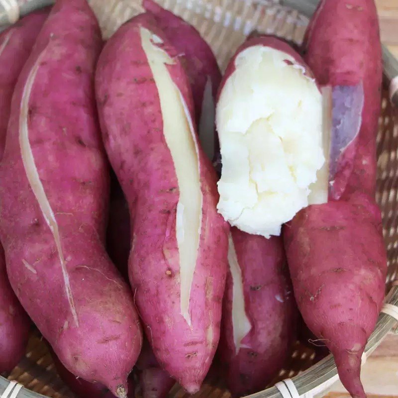 红薯新鲜5斤番薯沙地干面甜白心芯板栗薯地瓜10当季整箱水果蔬菜