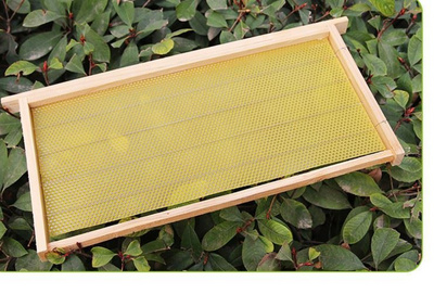 中蜂巢础中峰成品杉木巢框带巢基全套蜜蜂箱专用蜂具养蜂工具