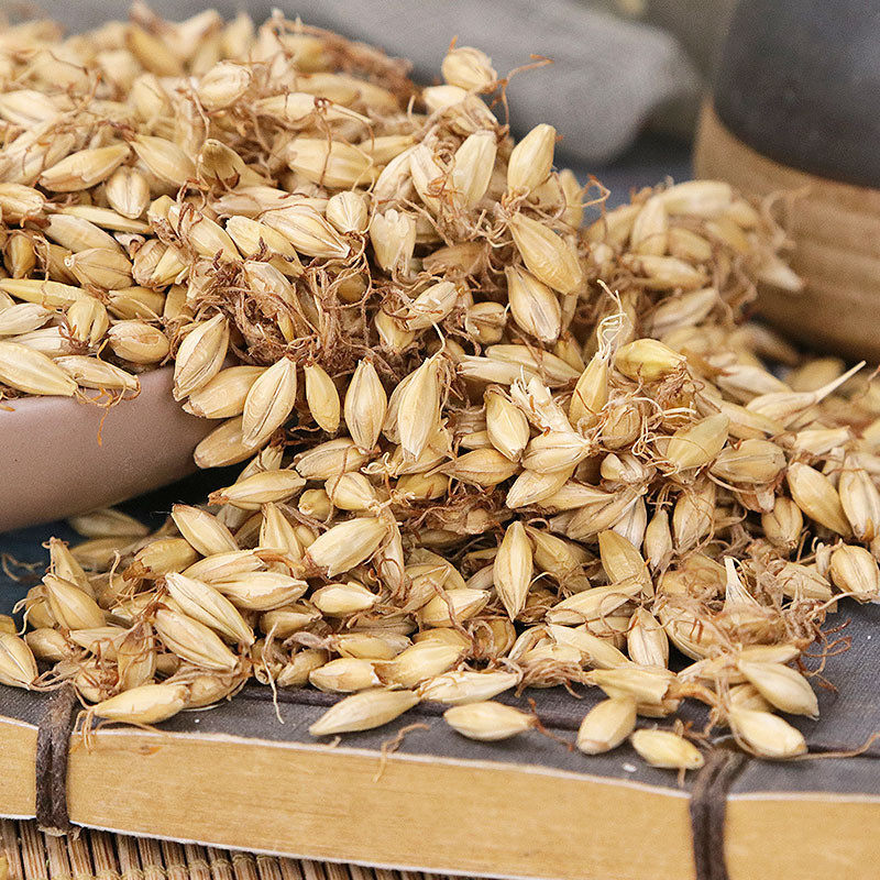 生麦芽 天然回奶泡水喝中药材特级500g包邮新鲜晒大麦牙麦蘖山楂