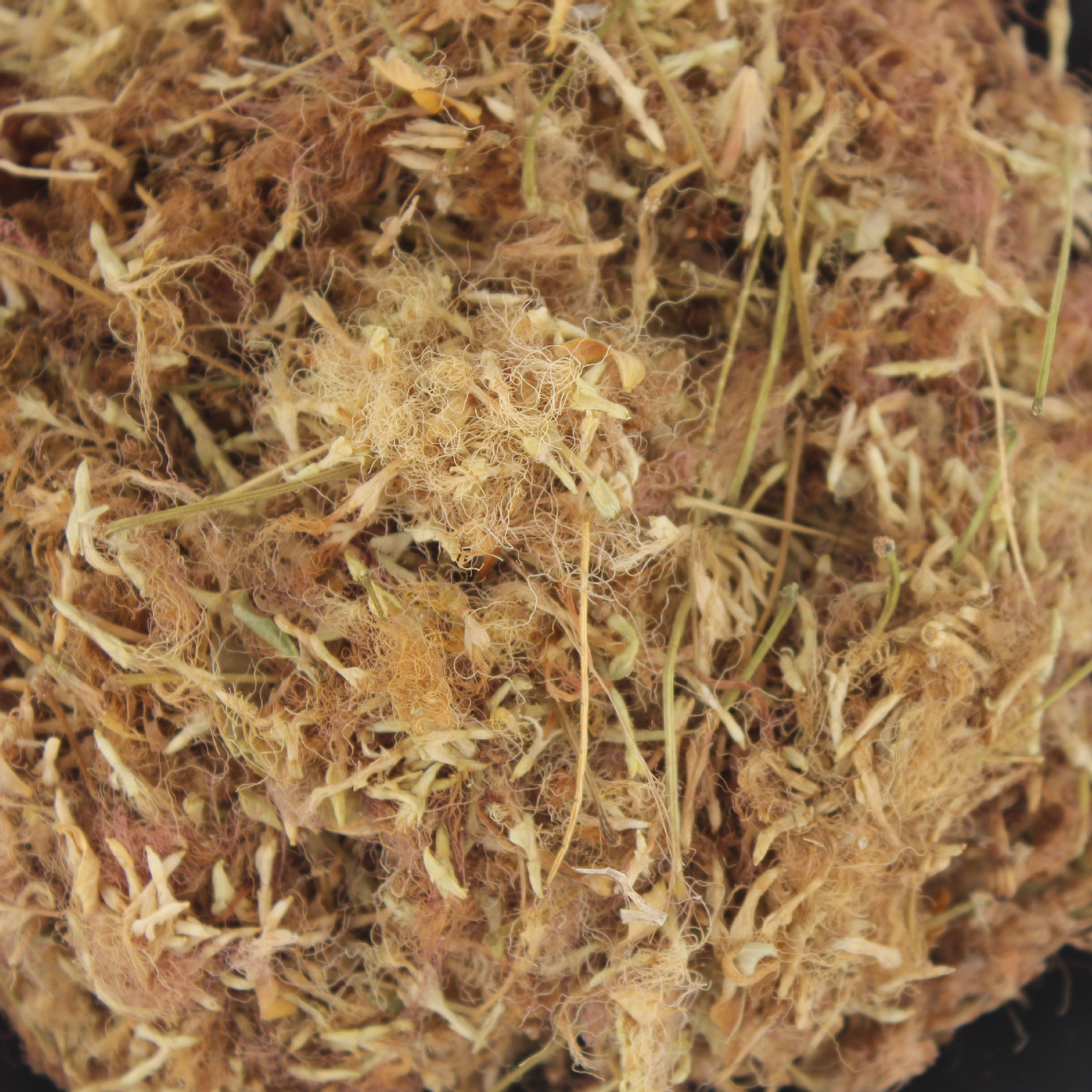 合欢花 干花中药材500g包邮正品合欢花茶安神助眠 榕树花 夜合欢_一朵