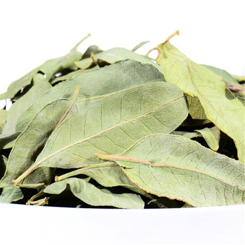 罗布麻罗布麻叶中药材特级500g包邮新疆正品新货罗布麻