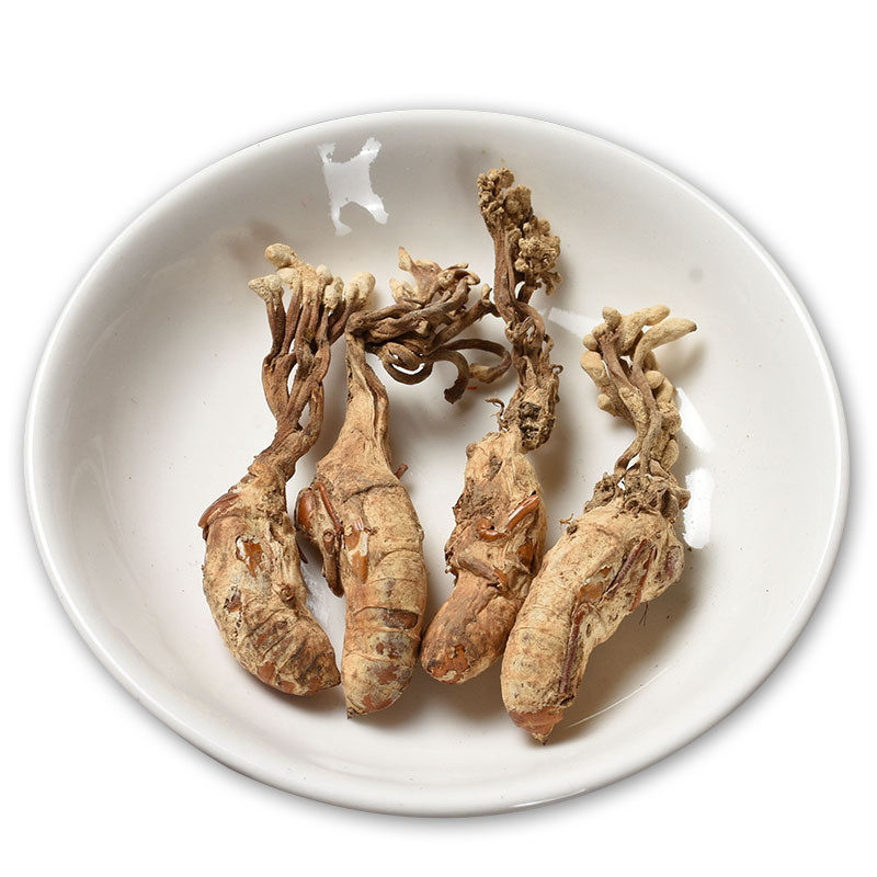 虫草金蝉草粉精选中药材正宗新货500g包邮知了金蝉花