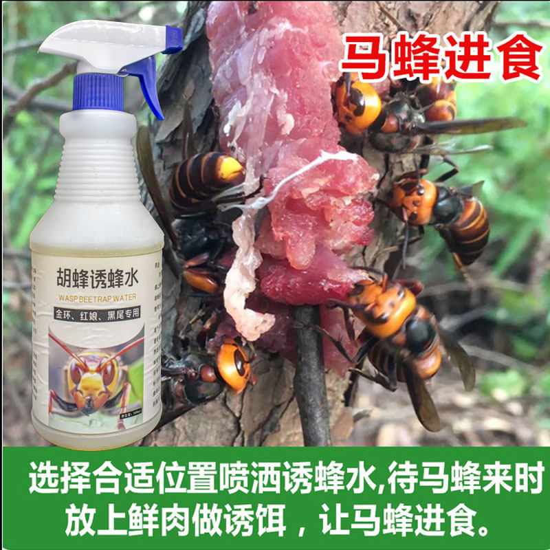 马蜂诱蜂野外招胡蜂引蜂水金环红娘大黑黄腰黑蜂蜜糖