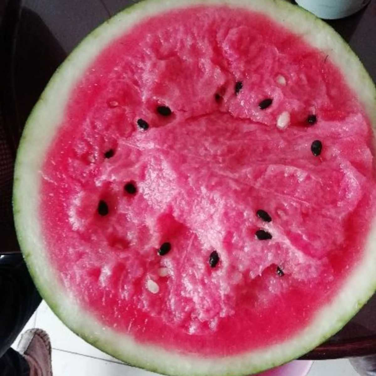 西瓜种子早熟特大美国早霸低温弱光懒汉大田蔬菜种子