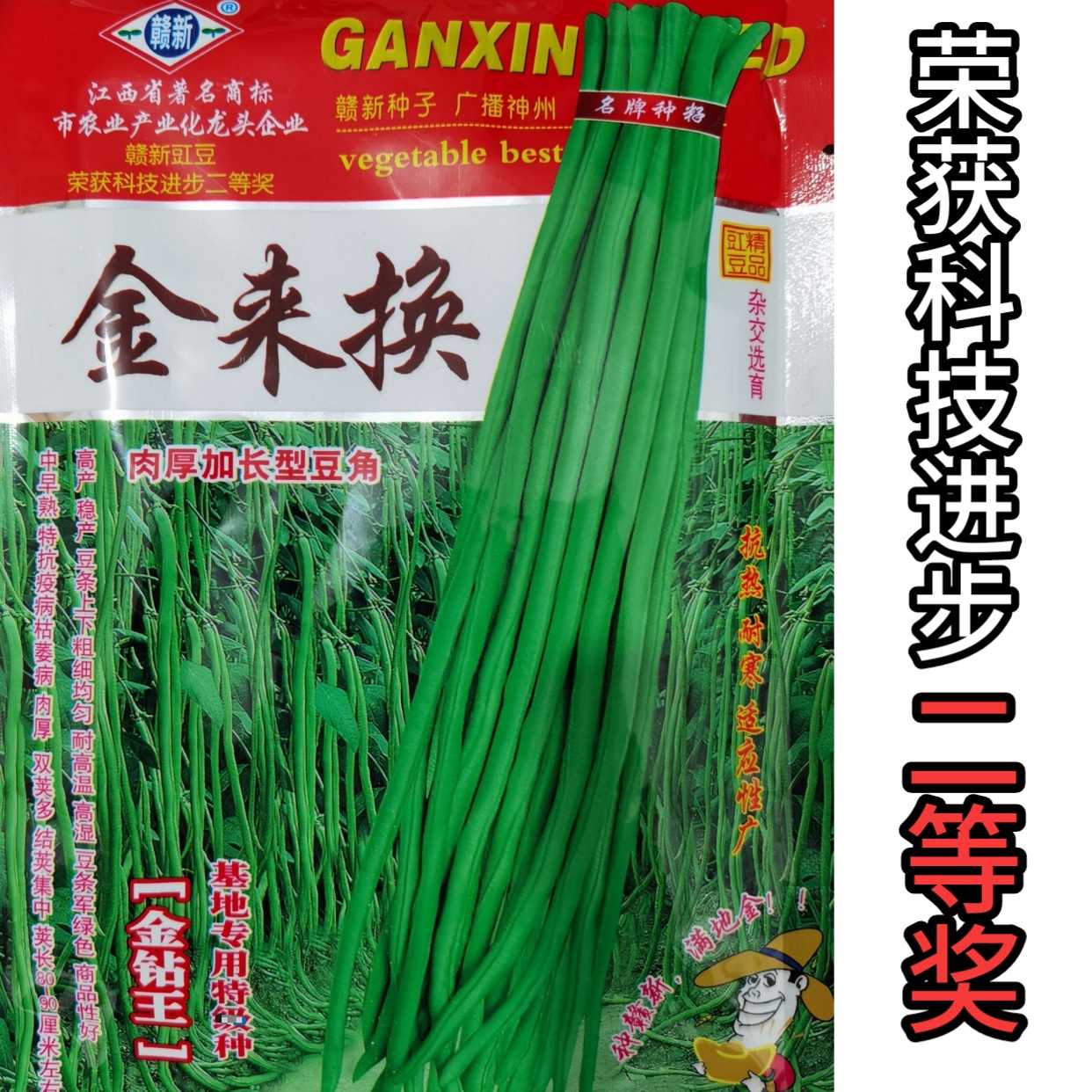 种子豆角基地耐寒耐湿耐热高产新金来豇豆金来蔬菜种子