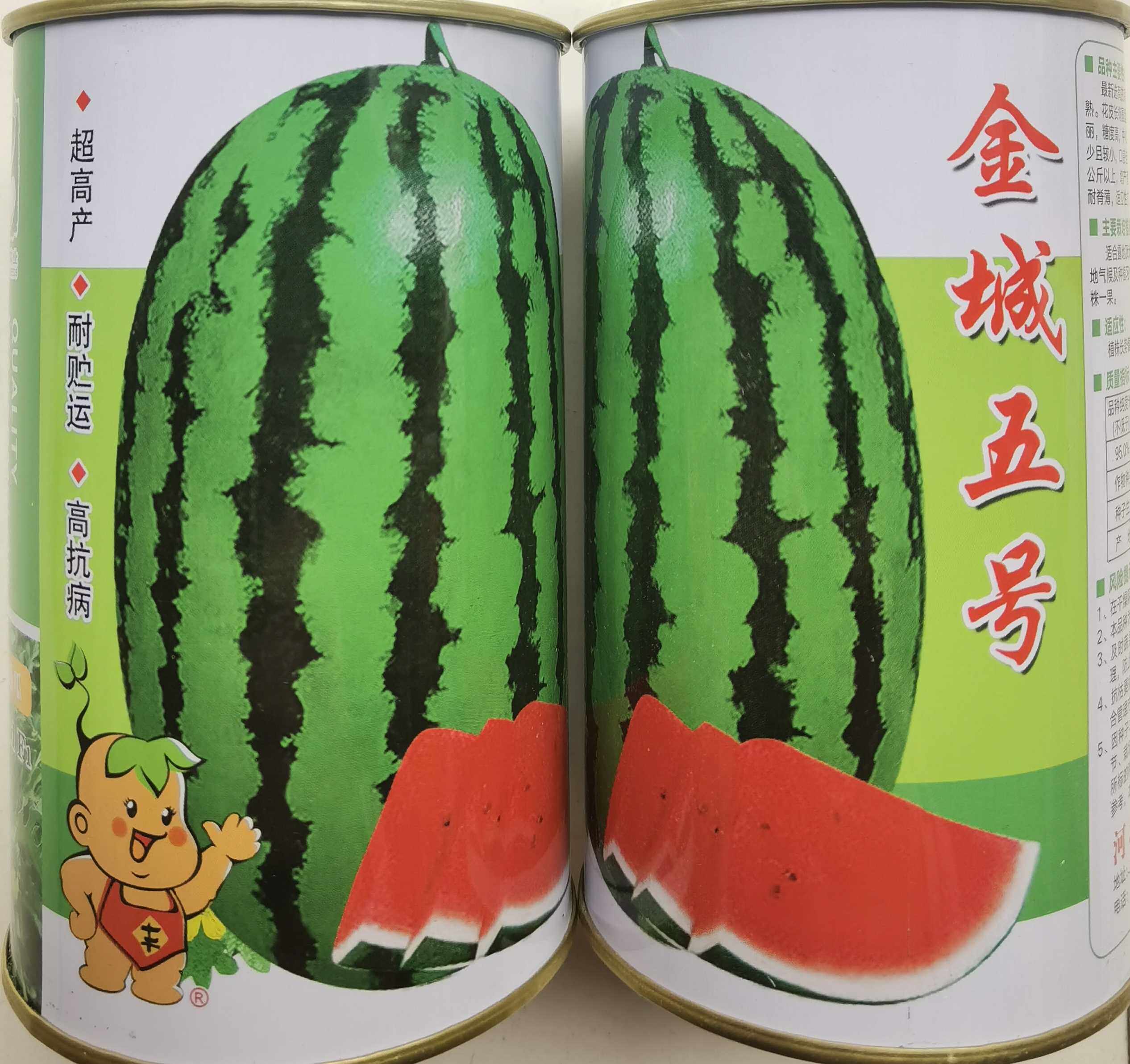 西瓜金城种子五号特大5号甘肃压砂沙漠红瓤蔬菜种子