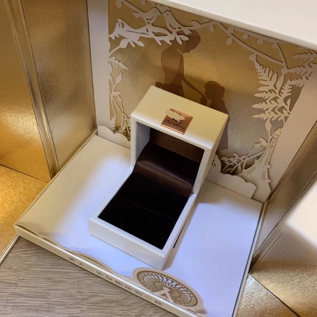 适合新款dr求婚钻戒盒子戴瑞一生一世戒指珠宝首饰盒
