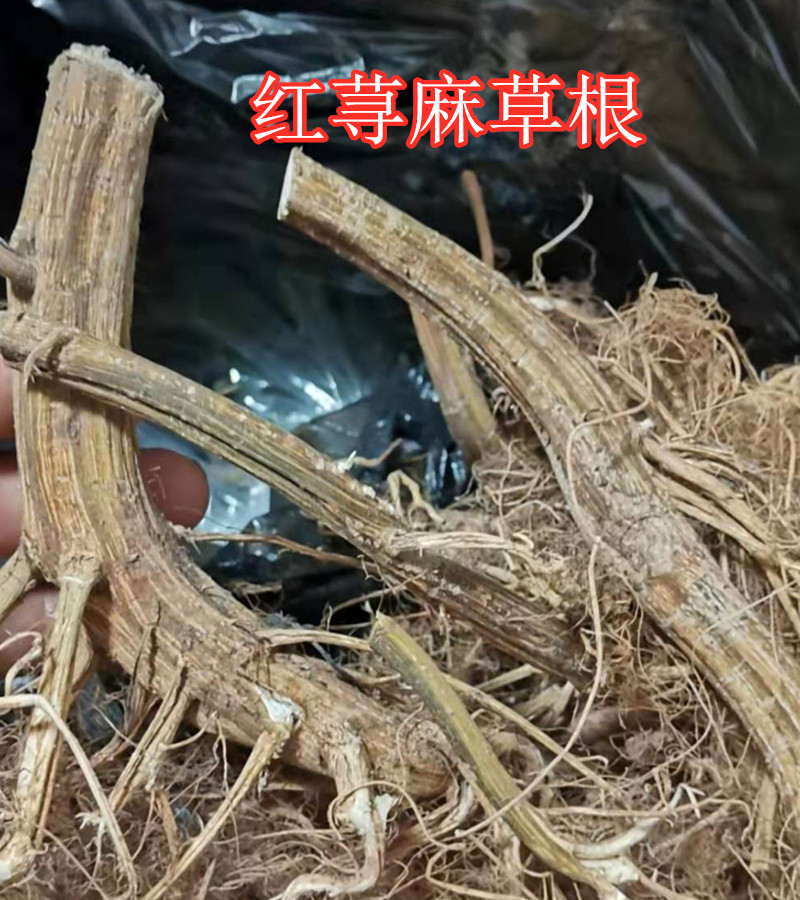 500克萱麻叶干红禾麻草白霍麻根火麻杆野生红荨麻叶