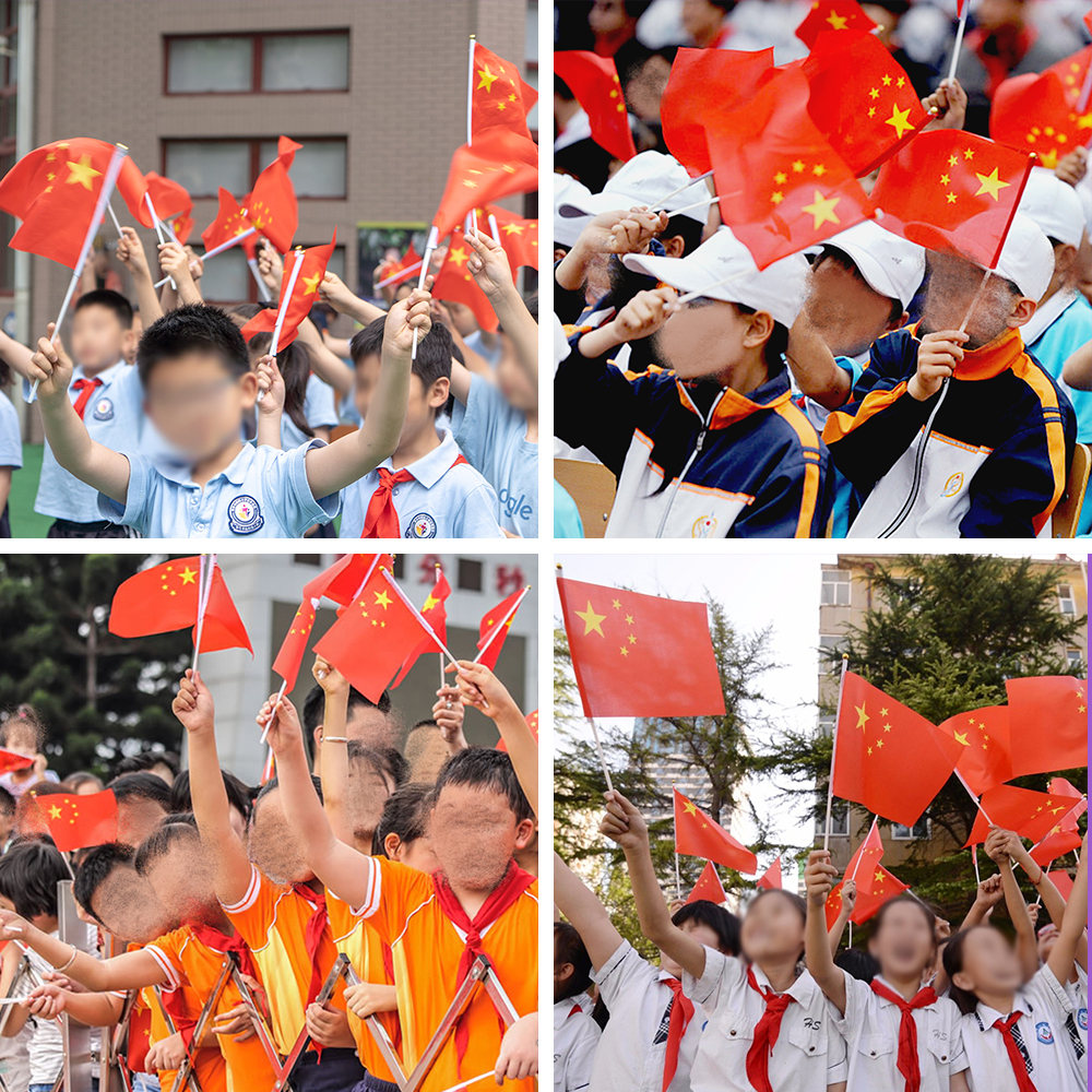 小国旗小红旗手摇旗五星红旗国旗红旗中国国旗手持手拿国旗手挥旗帜