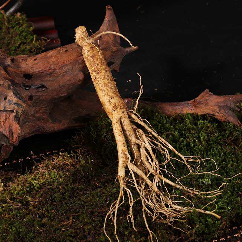 长白山集安边条参100克礼盒装整枝东北人参泡酒白参非鲜参生晒参