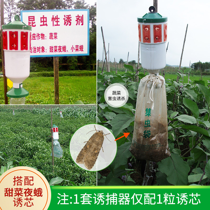 甜菜夜蛾信息素诱中捷四方蔬菜害虫监测诱杀其它园艺用品