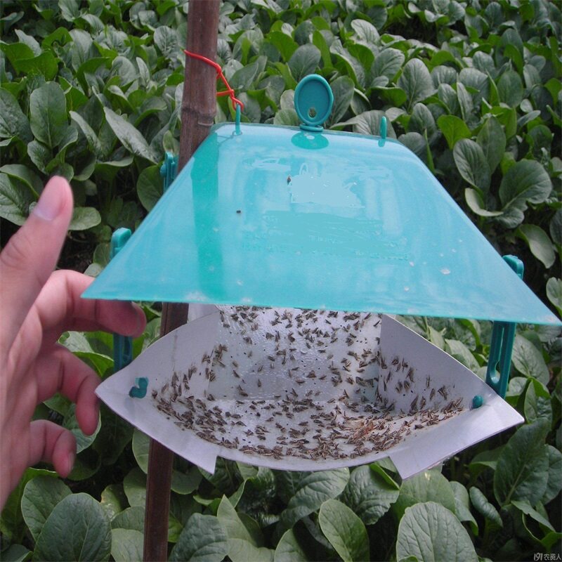 20粒小菜昆虫信息素诱引诱性诱剂诱虫诱捕器包其它园艺用品