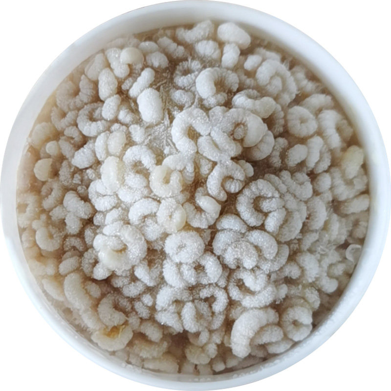 田家小园天然新鲜蜂王胎浆片蜂皇蛹幼虫女性卵巢早衰月经保养泡酒