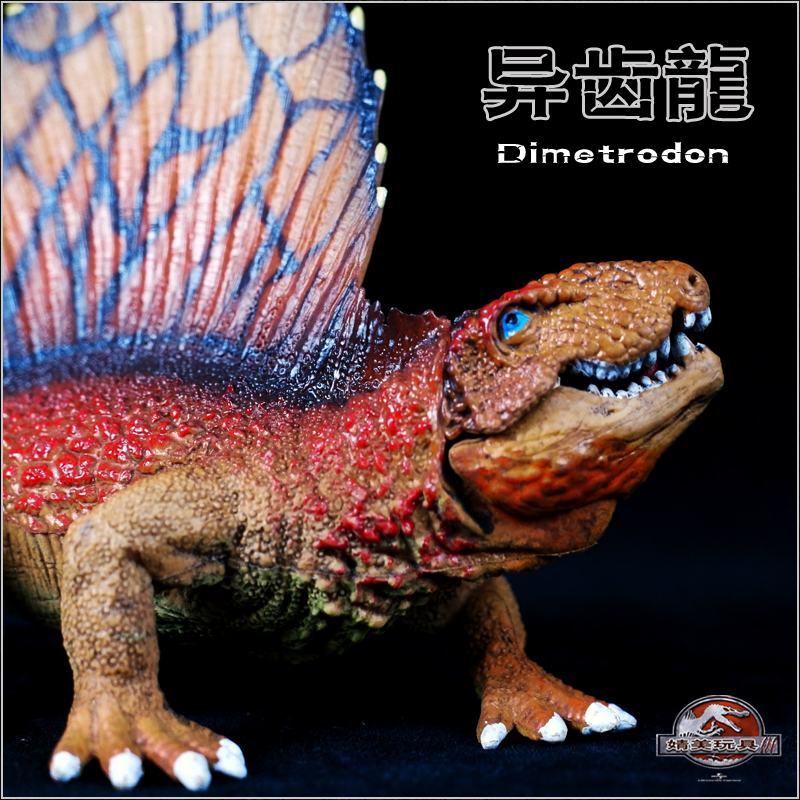 帆龙儿童摆件静态动物塑胶实心侏罗纪龙帆龙异齿仿真