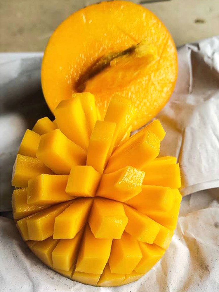 越南进口澳芒大芒果特大新鲜水果应当季一级芒果整箱香甜软糯可口