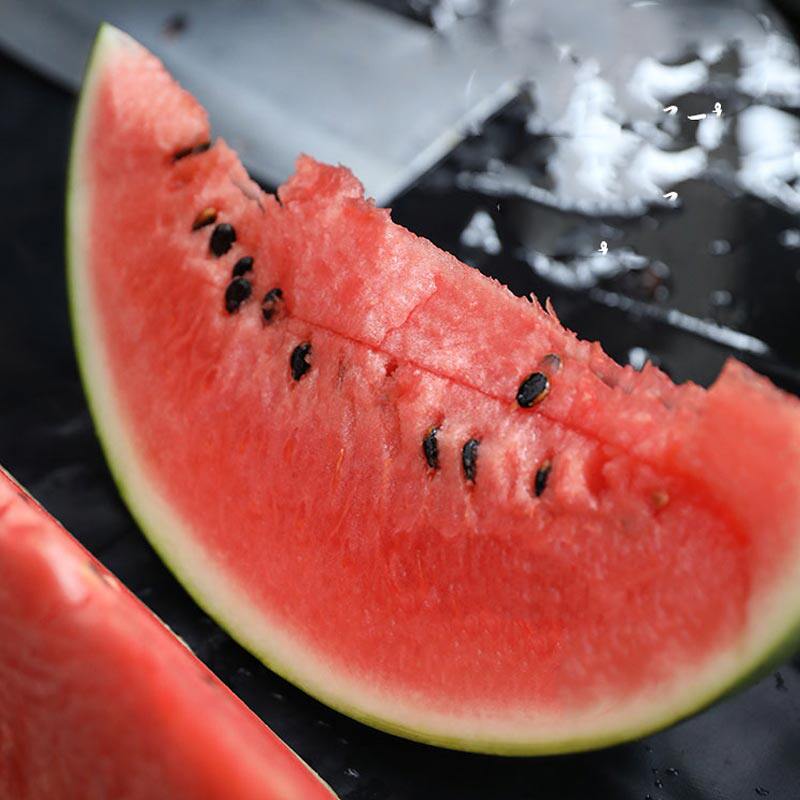 新疆大西瓜水果南方四季高产瓜籽大西早佳特大家庭园艺种子