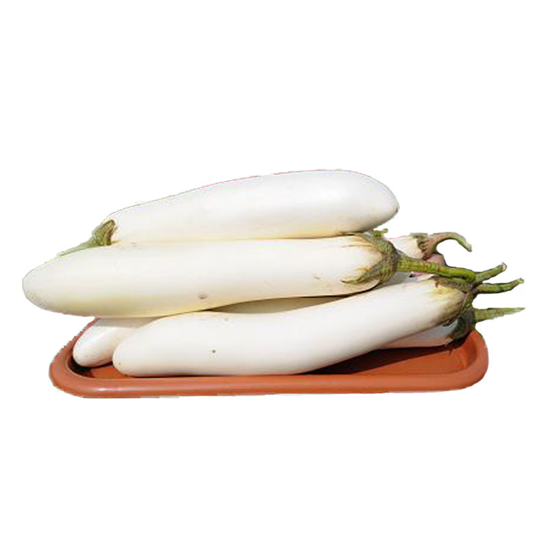 白雪公主白长茄种子特色水果茄子高产四季春秋阳台家庭园艺种子