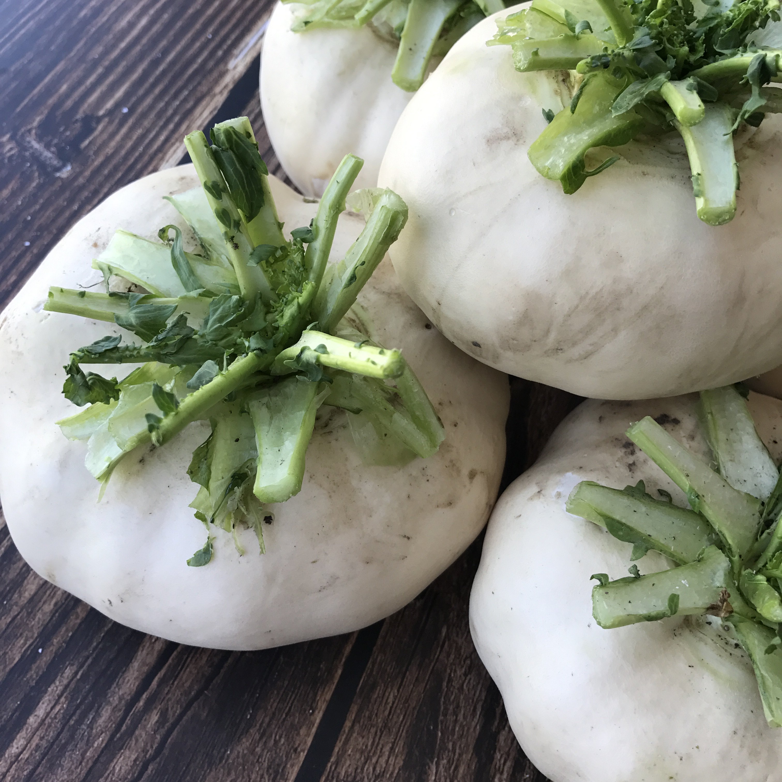 温州特产盘菜新鲜采摘农家盘菜头大头菜萝卜现摘萝卜