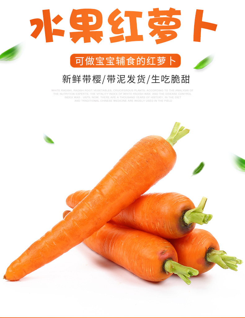 水果胡萝卜脆甜新鲜生吃型沙窝带泥非红心沙地萝卜山东红萝卜5斤