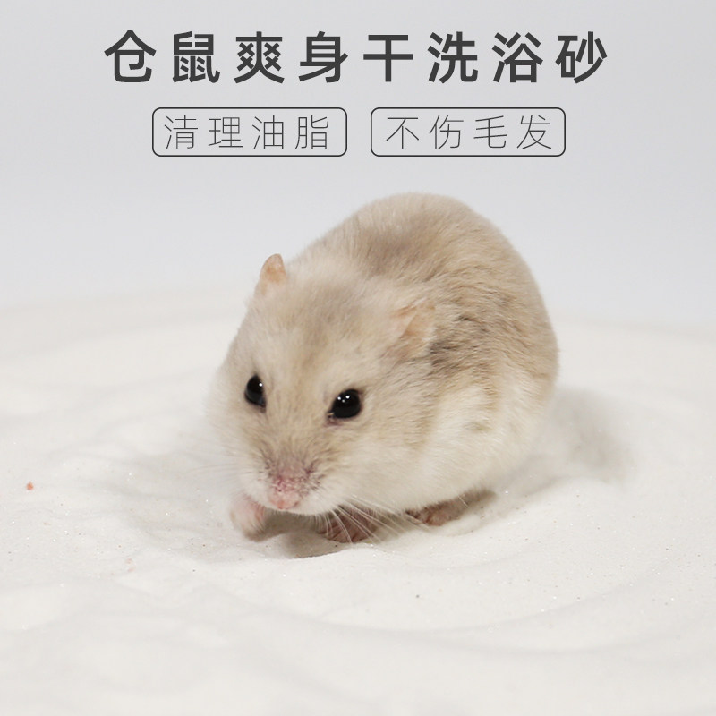 再再小仓鼠浴沙用品套装金丝熊洗澡浴沙盆龙猫浴盐杀菌尿砂沐浴室