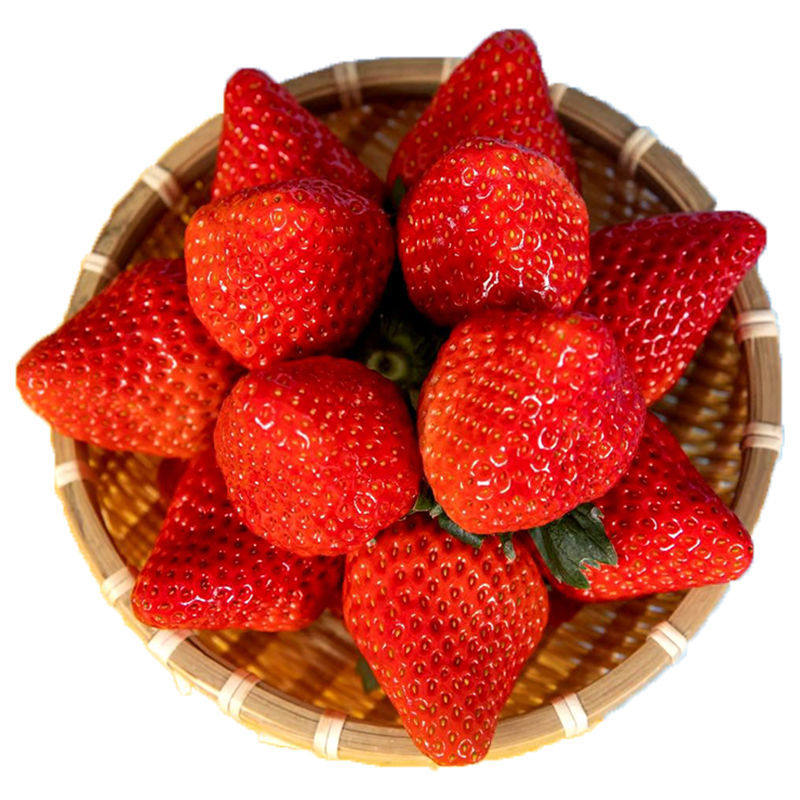 草莓正宗辽宁丹东九九3斤牛奶奶油新鲜水果草莓
