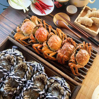 12只大闸蟹鲜活海鲜水产特大全母螃蟹现货正宗红膏公蟹母蟹河蟹