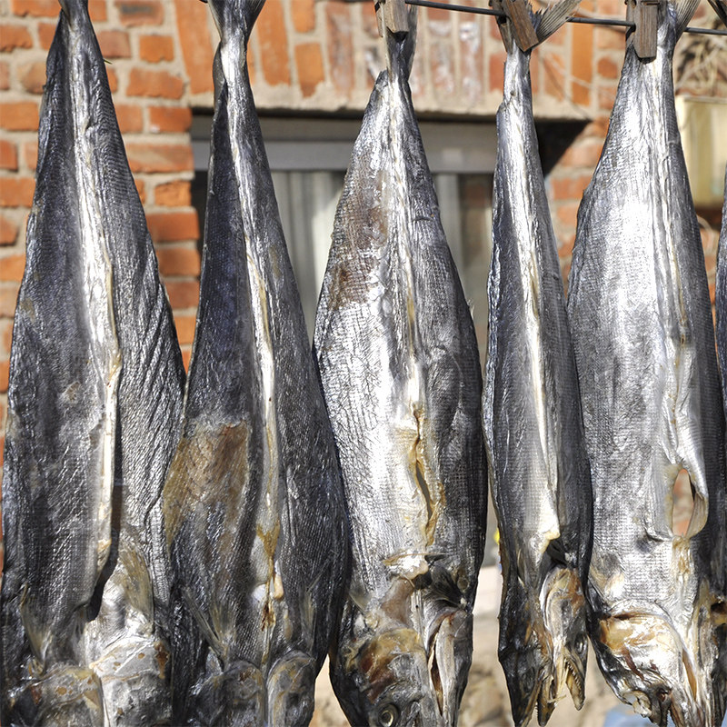 渔民自晒鲅鱼500g海鲜海鱼干货海产马鲛鱼咸鱼鱼干