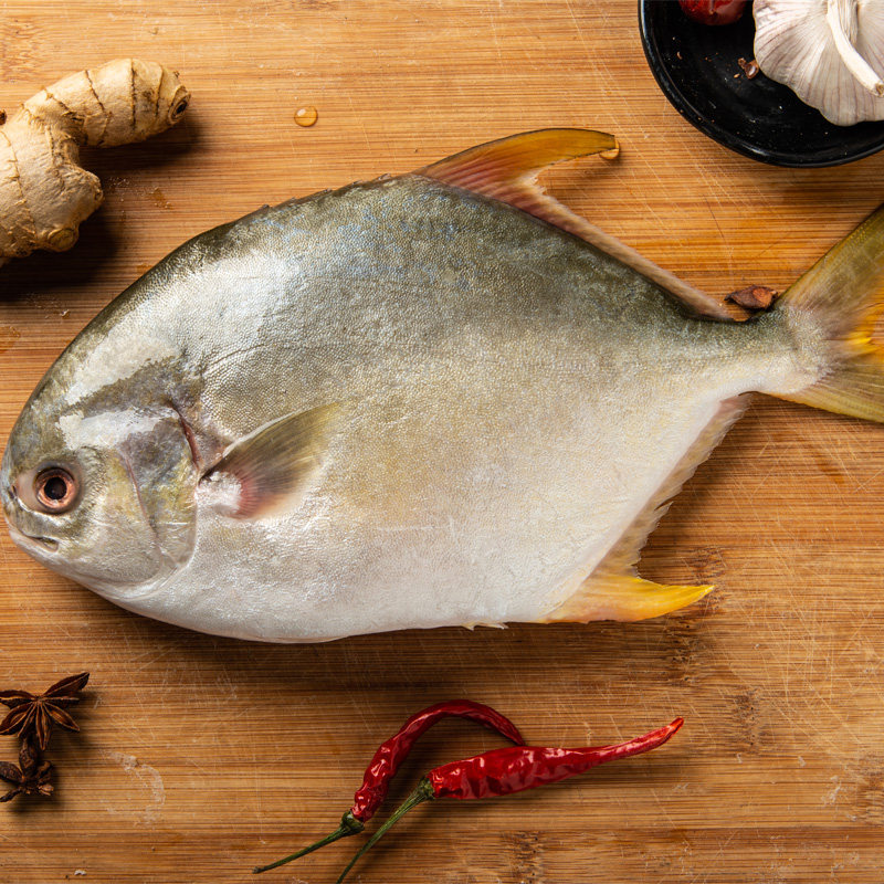 深海大金鲳鱼5斤新鲜冷冻捕金昌鱼海昌鱼平鱼鲳鱼
