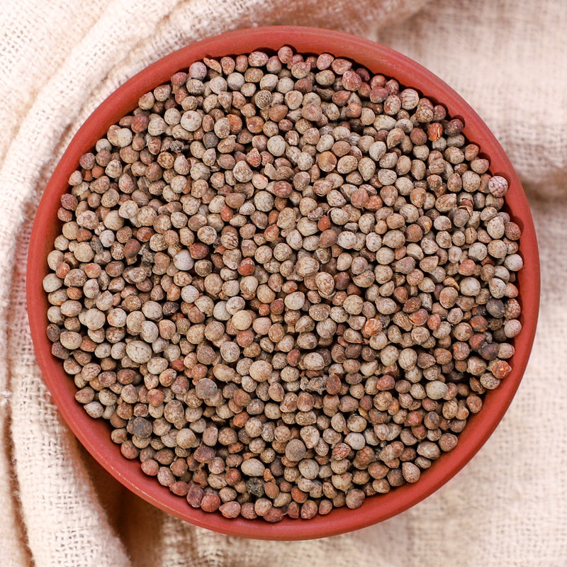 紫苏籽熟籽粉食用500g生苏中药正品中药材野生紫苏