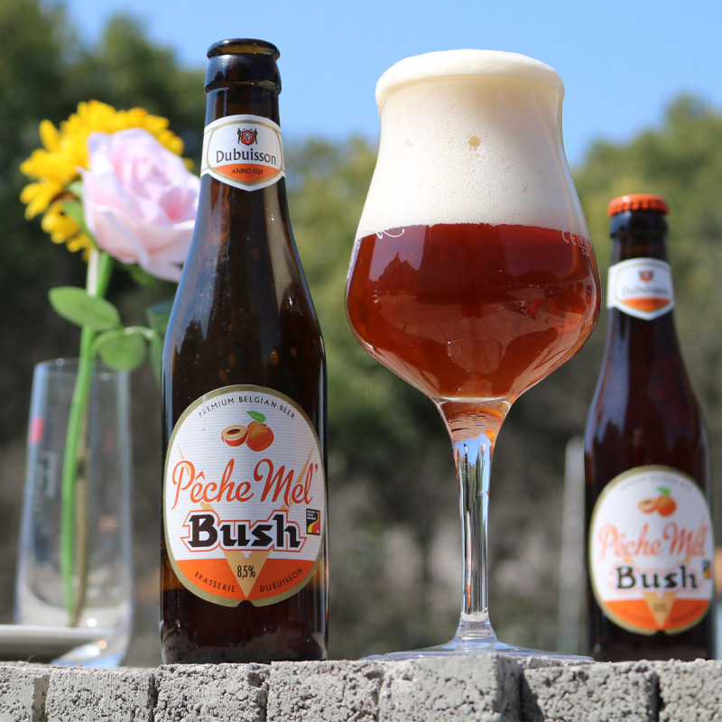 比利时原装进口布什桃子精酿果味bush进口烈性啤酒啤酒