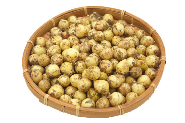 新鲜苦藠小根蒜团野生苦芥苦叫小蒜四川茭头其它