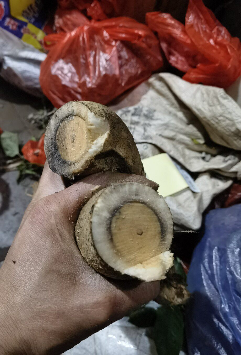 薯猫尾树根10斤老年野生猫尾化瘤木根正品化核农技服务