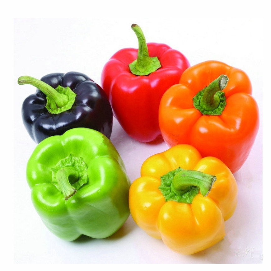 彩色辣椒种子肉厚白玉桔红红紫星彩种籽观赏家庭园艺种子