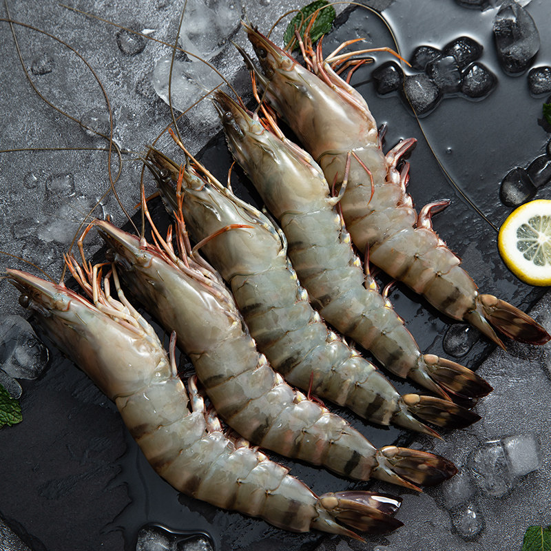 arviefresh越南南生冻黑虎虾12只净重650g冷冻大虾冻虾