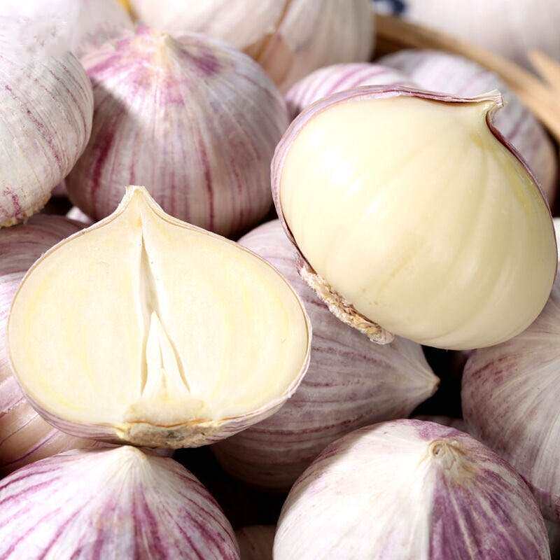 云南大理紫皮独头新鲜大蒜农家蔬菜蒜头现挖大蒜